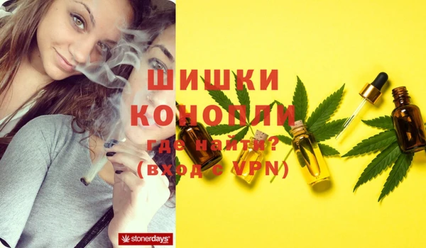 спайс Белокуриха